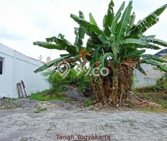 Tanah Kosong Dijual di Sleman dengan Area 221m2 Tanah Kosong Dijual di Sleman dengan Area 221m2
