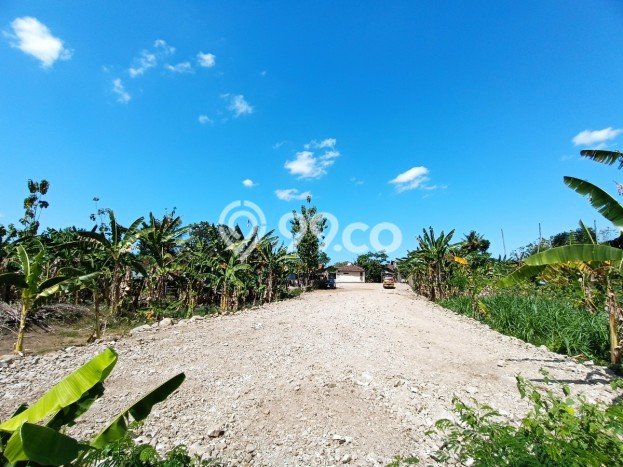 Tanah untuk Dijual di Bantul Bantul Luas 202m2 Tanah untuk Dijual di Bantul Bantul Luas 202m2