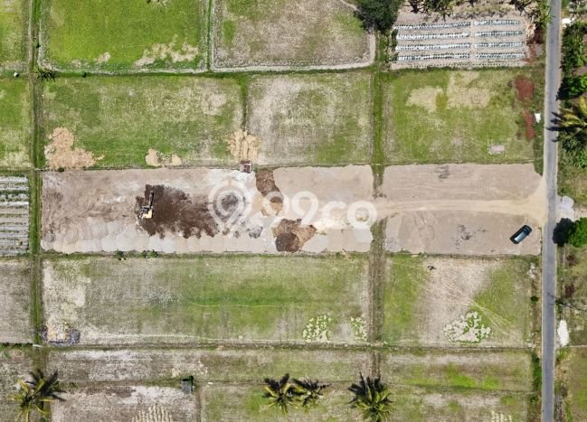 Tanah Kavling Dijual di Caturtunggal, Yogyakarta dengan Luas Tanah 128m2 Tanah Kavling Dijual di Caturtunggal, Yogyakarta dengan Luas Tanah 128m2