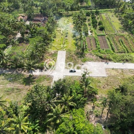Untuk Dijual Tanah di Gamping Sleman Luas 116m2 SHM Untuk Dijual Tanah di Gamping Sleman Luas 116m2 SHM
