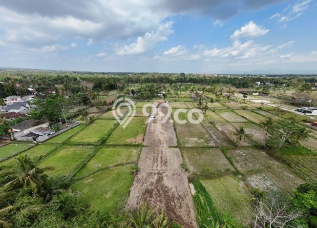 Tanah Kavling Dijual di Caturtunggal, Yogyakarta dengan Luas Tanah 128m2 Tanah Kavling Dijual di Caturtunggal, Yogyakarta dengan Luas Tanah 128m2