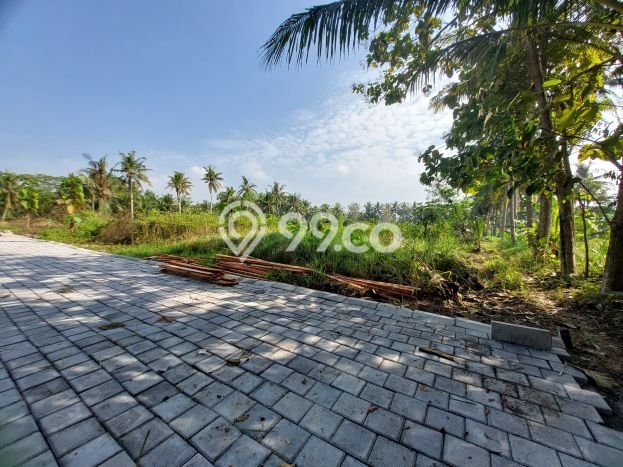 Untuk Dijual Tanah di Gamping Sleman Luas 116m2 SHM Untuk Dijual Tanah di Gamping Sleman Luas 116m2 SHM