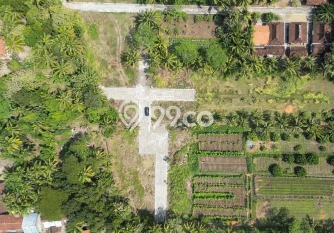Lahan untuk Dijual Lokasi Kalasan, Sleman Luas 123m2 SHM Lahan untuk Dijual Lokasi Kalasan, Sleman Luas 123m2 SHM