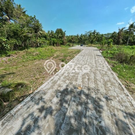 Untuk Dijual Tanah di Gamping Sleman Luas 116m2 SHM Untuk Dijual Tanah di Gamping Sleman Luas 116m2 SHM