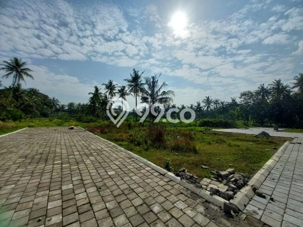 Untuk Dijual Tanah di Gamping Sleman Luas 116m2 SHM Untuk Dijual Tanah di Gamping Sleman Luas 116m2 SHM
