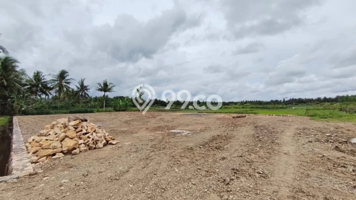 Hunian Murah Dijual Area Wates, Kulon Progo Harga Rp 335 Juta Hunian Murah Dijual Area Wates, Kulon Progo Harga Rp 335 Juta