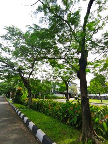 Tanah Siap Bangun Dijual di Jakarta Barat Punya Luas 126m2 Tanah Siap Bangun Dijual di Jakarta Barat Punya Luas 126m2