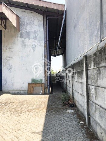 Tersedia Gudang Bisnis di Ngaliyan Semarang Harga Sewa Menarik Bisa Nego Tersedia Gudang Bisnis di Ngaliyan Semarang Harga Sewa Menarik Bisa Nego