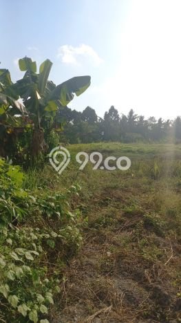 HARGA TERBAIK! Tanah Kawasan Ubud, Luas 1600m², Lokasi Prima HARGA TERBAIK! Tanah Kawasan Ubud, Luas 1600m², Lokasi Prima