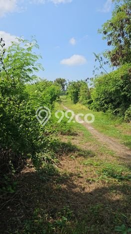 Untuk Dijual Tanah di Gianyar, Luas 1460m2 SHM Untuk Dijual Tanah di Gianyar, Luas 1460m2 SHM