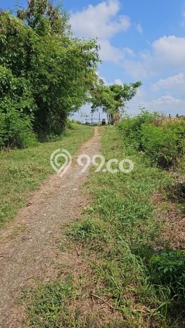 Untuk Dijual Tanah di Gianyar, Luas 1460m2 SHM Untuk Dijual Tanah di Gianyar, Luas 1460m2 SHM