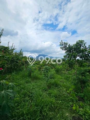 Tanah Dijual Lokasi Karangasem, Karangasem Luas 15000m2 Legalitas Aman Tanah Dijual Lokasi Karangasem, Karangasem Luas 15000m2 Legalitas Aman