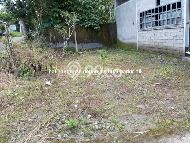 Rumah Murah LT 2270m2 di Sebatu Lingkungan Asri Rumah Murah LT 2270m2 di Sebatu Lingkungan Asri