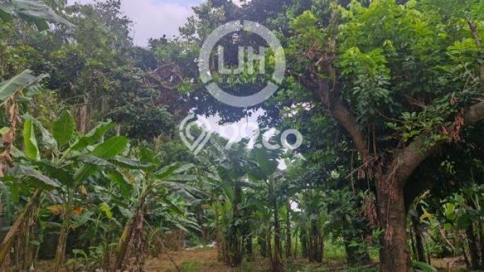 Untuk Dijual Tanah di Bekasi, Luas 6000m2 SHM Untuk Dijual Tanah di Bekasi, Luas 6000m2 SHM