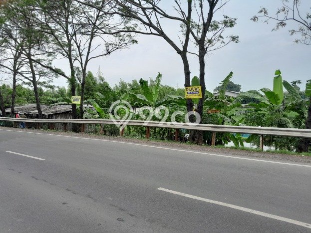 Kavling Tanah di Karawang Barat Dijual Luas 11040m2 Legalitas SHM Kavling Tanah di Karawang Barat Dijual Luas 11040m2 Legalitas SHM