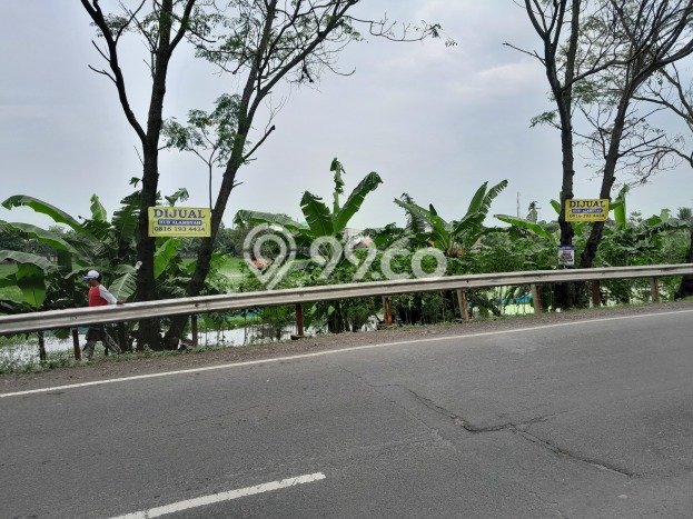 Kavling Tanah di Karawang Barat Dijual Luas 11040m2 Legalitas SHM Kavling Tanah di Karawang Barat Dijual Luas 11040m2 Legalitas SHM