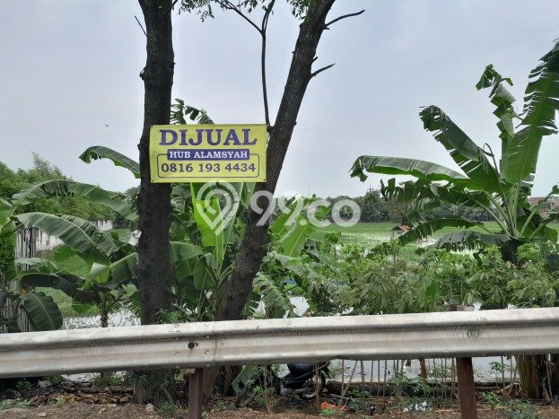 Kavling Tanah di Karawang Barat Dijual Luas 11040m2 Legalitas SHM Kavling Tanah di Karawang Barat Dijual Luas 11040m2 Legalitas SHM