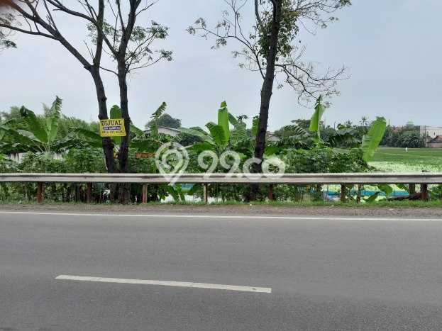Kavling Tanah di Karawang Barat Dijual Luas 11040m2 Legalitas SHM Kavling Tanah di Karawang Barat Dijual Luas 11040m2 Legalitas SHM