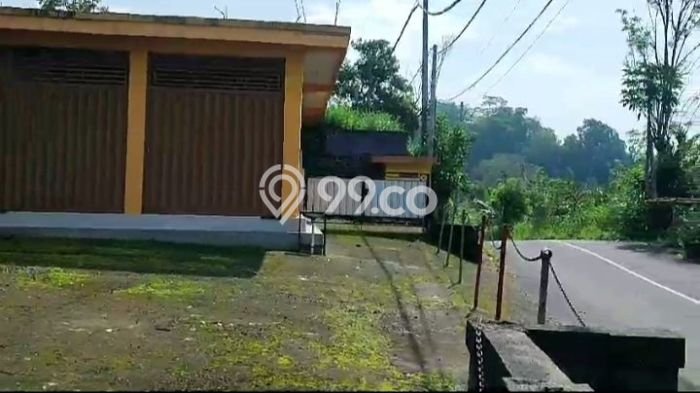 Lahan Kosong Dijual di Tabanan dengan Area 1650m2 Lahan Kosong Dijual di Tabanan dengan Area 1650m2