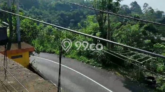 Lahan Kosong Dijual di Tabanan dengan Area 1650m2 Lahan Kosong Dijual di Tabanan dengan Area 1650m2