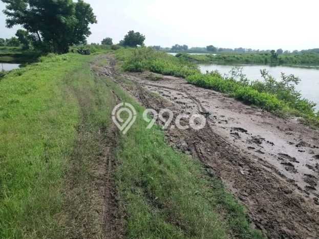 Tanah Komersial Dijual di Bangil Pasuruan 70000m2 Tanah Komersial Dijual di Bangil Pasuruan 70000m2