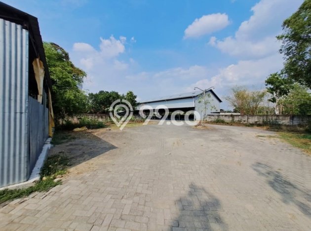 Disewakan Tanah Lokasi Strategis di Kapas Bojonegoro 4991m2 Disewakan Tanah Lokasi Strategis di Kapas Bojonegoro 4991m2