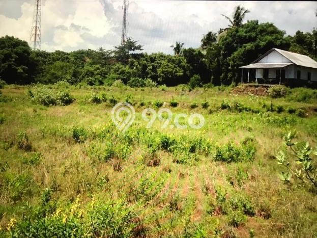 Tanah Strategis Dijual di Karangasem Karangasem 15000m2 Tanah Strategis Dijual di Karangasem Karangasem 15000m2