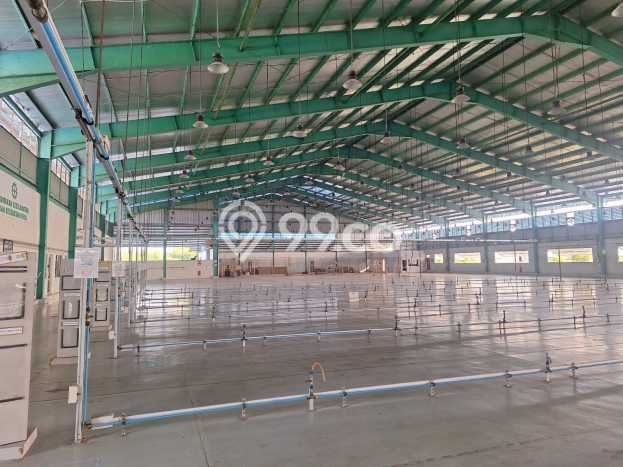 FOR SALE! Pabrik di Tegal Timur Tegal, LT 72542m2, LB 6886m2 FOR SALE! Pabrik di Tegal Timur Tegal, LT 72542m2, LB 6886m2