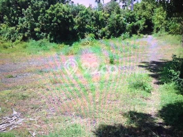 Tanah Strategis Dijual di Karangasem Karangasem 15000m2 Tanah Strategis Dijual di Karangasem Karangasem 15000m2