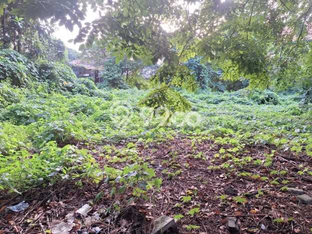 Lahan Kosong Dijual di Jakarta Pusat dengan Area 4241m2 Lahan Kosong Dijual di Jakarta Pusat dengan Area 4241m2