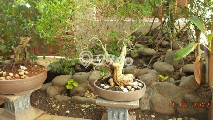 Dijual Rumah Premium dengan Fasilitas Sekitar Lengkap di Pancoran Mas, Depok Dijual Rumah Premium dengan Fasilitas Sekitar Lengkap di Pancoran Mas, Depok