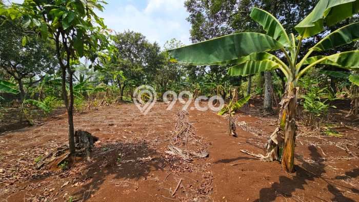 Tanah Dijual Area Strategis di Cilangkap Depok 1834m2 Tanah Dijual Area Strategis di Cilangkap Depok 1834m2