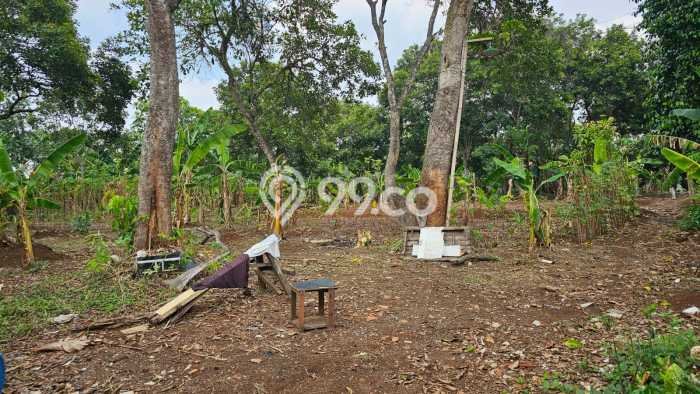 Tanah Dijual Area Strategis di Cilangkap Depok 1834m2 Tanah Dijual Area Strategis di Cilangkap Depok 1834m2
