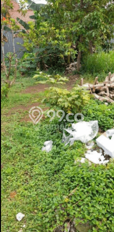 Untuk Dijual Tanah di Pancoran Mas Depok Luas 378m2 SHM Untuk Dijual Tanah di Pancoran Mas Depok Luas 378m2 SHM