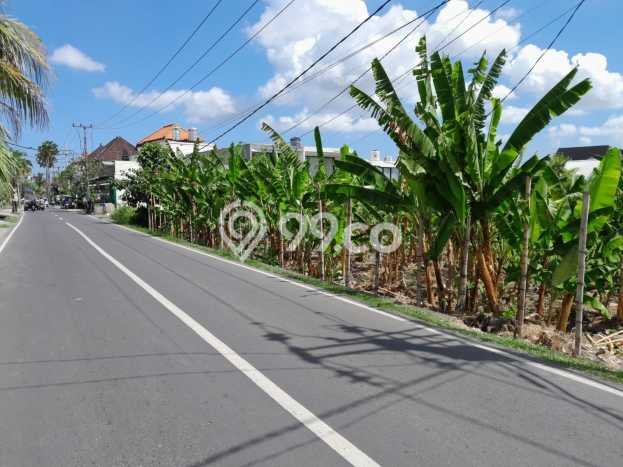 HOT DEAL! Tanah di Pererenan, Luas 1450m², Area Strategis HOT DEAL! Tanah di Pererenan, Luas 1450m², Area Strategis