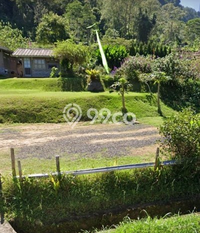 Lahan Dijual Lokasi Strategis di Buleleng dengan Luas 18585m2 Lahan Dijual Lokasi Strategis di Buleleng dengan Luas 18585m2