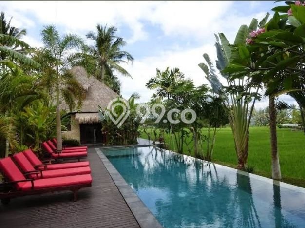 Dijual Rumah Luas Megah Dengan View Eksklusif di Lodtunduh, Gianyar Dijual Rumah Luas Megah Dengan View Eksklusif di Lodtunduh, Gianyar