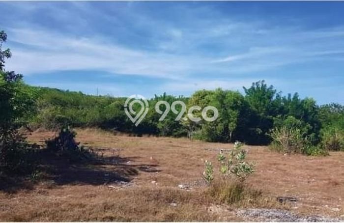 Tanah Kavling Dijual di Ungasan, Badung dengan Luas Tanah 230000m2 Tanah Kavling Dijual di Ungasan, Badung dengan Luas Tanah 230000m2
