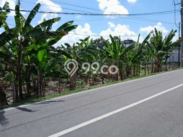 HOT DEAL! Tanah di Pererenan, Luas 1450m², Area Strategis HOT DEAL! Tanah di Pererenan, Luas 1450m², Area Strategis