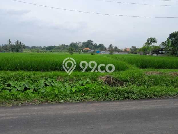 Tanah Kawasan Tabanan, Luas 2600m2m², Dekat Tabanan, Tabanan, Tabanan Tanah Kawasan Tabanan, Luas 2600m2m², Dekat Tabanan, Tabanan, Tabanan