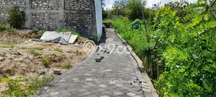 Tanah Dijual Lokasi Strategis di Badung dengan Luas 1500m2 Tanah Dijual Lokasi Strategis di Badung dengan Luas 1500m2