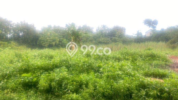 Dijual! Gudang di Gresik Kota Gresik LT 28586m2 / LB 7131m2 Kawasan Strategis Dijual! Gudang di Gresik Kota Gresik LT 28586m2 / LB 7131m2 Kawasan Strategis