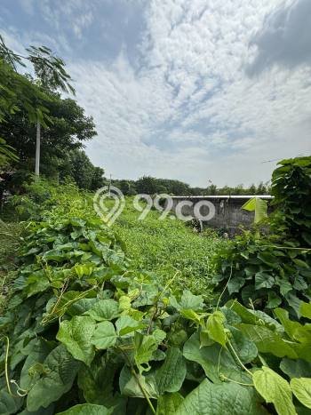 Kavling Tanah Dijual di Kenjeran Surabaya Spesifikasi 891m2 Kavling Tanah Dijual di Kenjeran Surabaya Spesifikasi 891m2