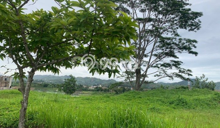 Untuk Dijual Tanah di Bandung, Luas 474m2 SHM Untuk Dijual Tanah di Bandung, Luas 474m2 SHM