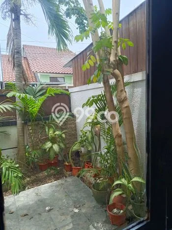 Jarang Ada! Rumah Kontrakan 2 Kamar Bagus Siap Huni Kerobokan Jarang Ada! Rumah Kontrakan 2 Kamar Bagus Siap Huni Kerobokan