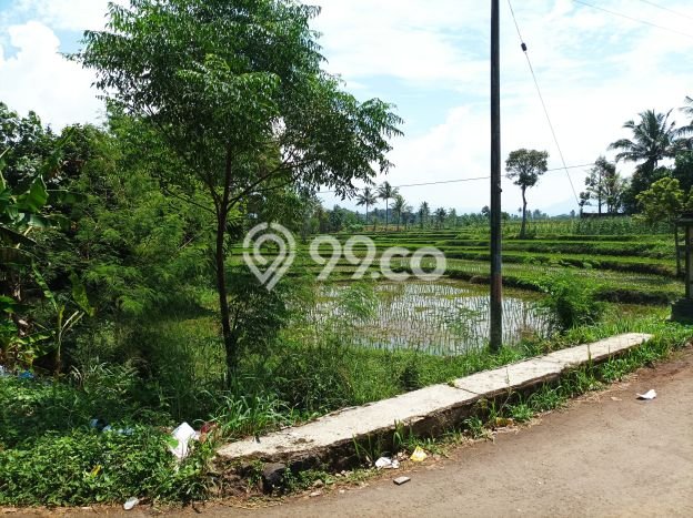 Jarang Ada! Tanah di Cilaku Punya Luas 3300m2 SHM Jarang Ada! Tanah di Cilaku Punya Luas 3300m2 SHM