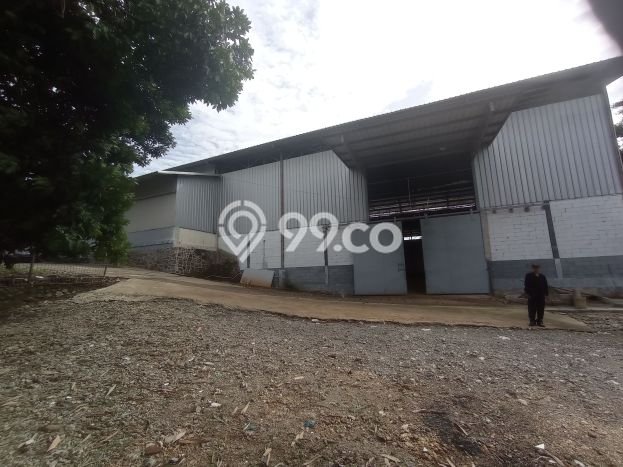 Gudang Disewa di Bogor dengan LB 1200m2 Area Komersial Ramai Gudang Disewa di Bogor dengan LB 1200m2 Area Komersial Ramai