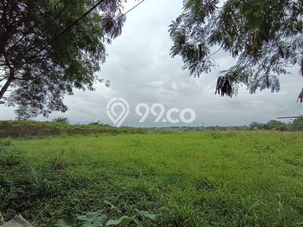 Tanah Disewakan Lokasi Bogor Seluas 10000m2 Strategis dan Aman Tanah Disewakan Lokasi Bogor Seluas 10000m2 Strategis dan Aman