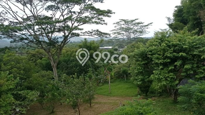 Untuk Dijual Tanah di Bogor, Luas 6000m2 SHM Untuk Dijual Tanah di Bogor, Luas 6000m2 SHM