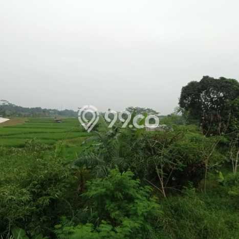 Lahan untuk Dijual di Citeureup Bogor Luas 50000m2 Lahan untuk Dijual di Citeureup Bogor Luas 50000m2
